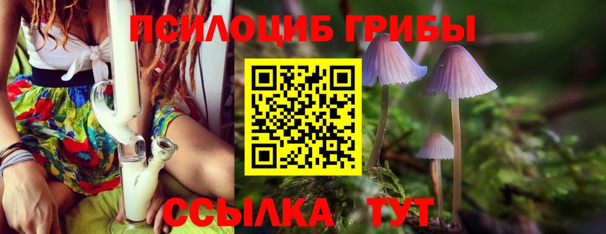 Псилоцибиновые грибы Cubensis  Псилоцибиновые грибы мицелий  Сокол  Вход с VPN 